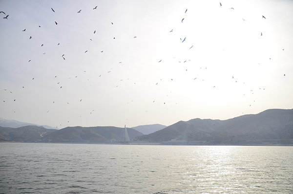 Martı Adası... Güneyce Köyü/İzollu/Malatya (Kömürhan Köprüsü karşısı)