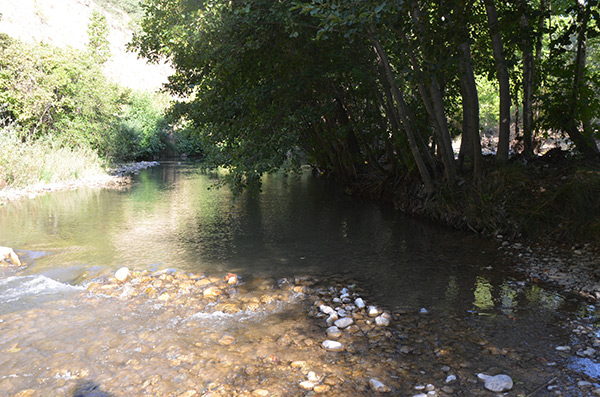 Koru (Tepte) Köyü/Arapgir