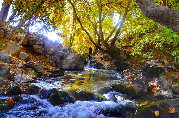 Doğanşehir'de Sonbahar