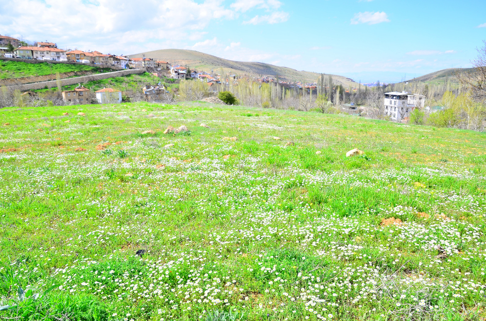 Banazı'da bahar