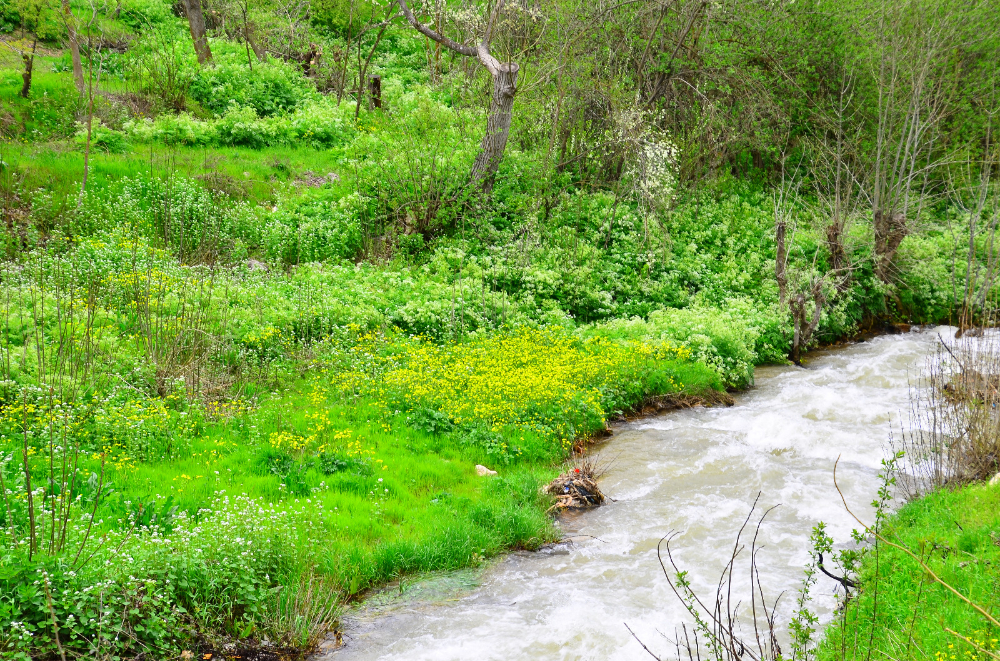 Banazı'da bahar