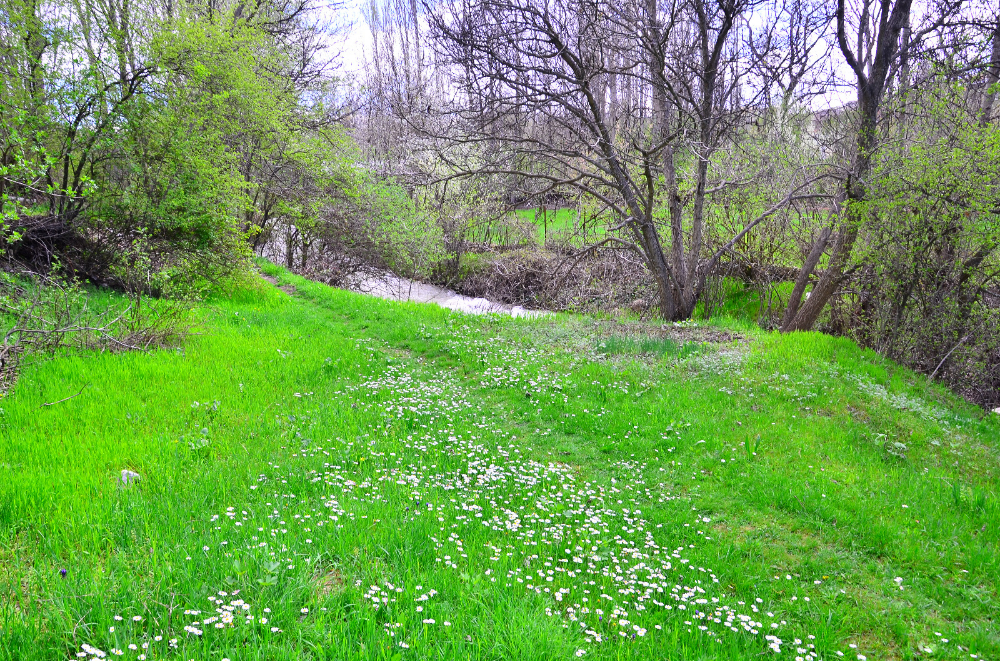 Banazı'da bahar