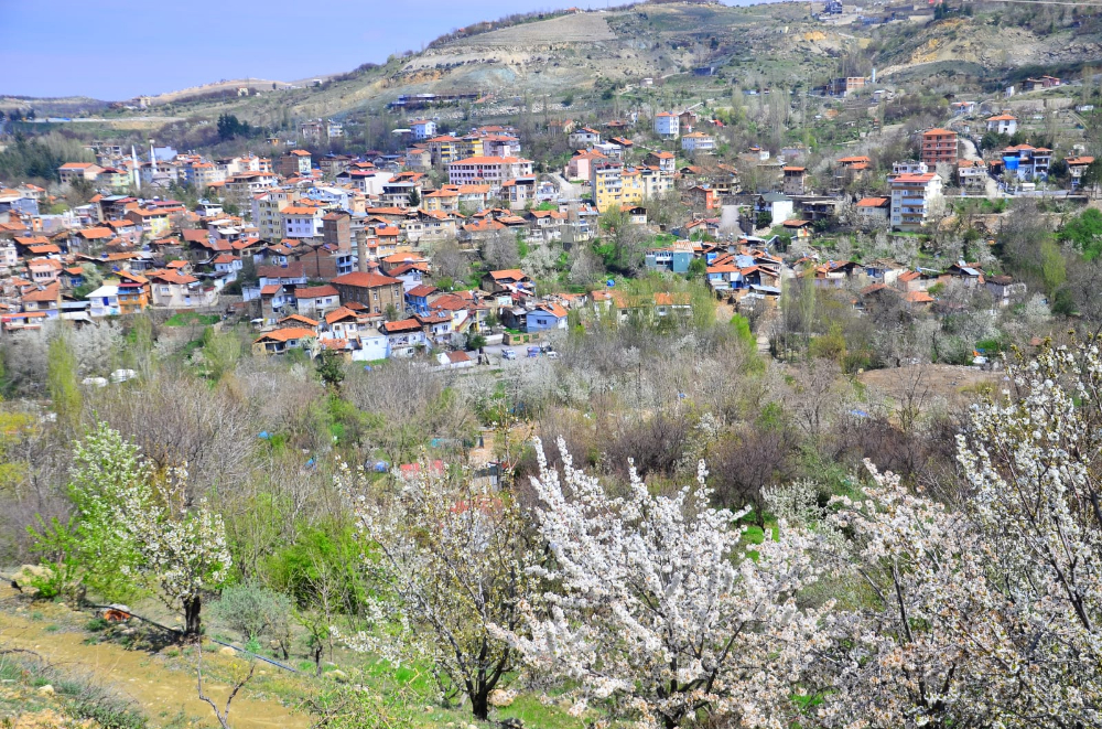 Gündüzbey'de bahar ve kiraz çiçekleri