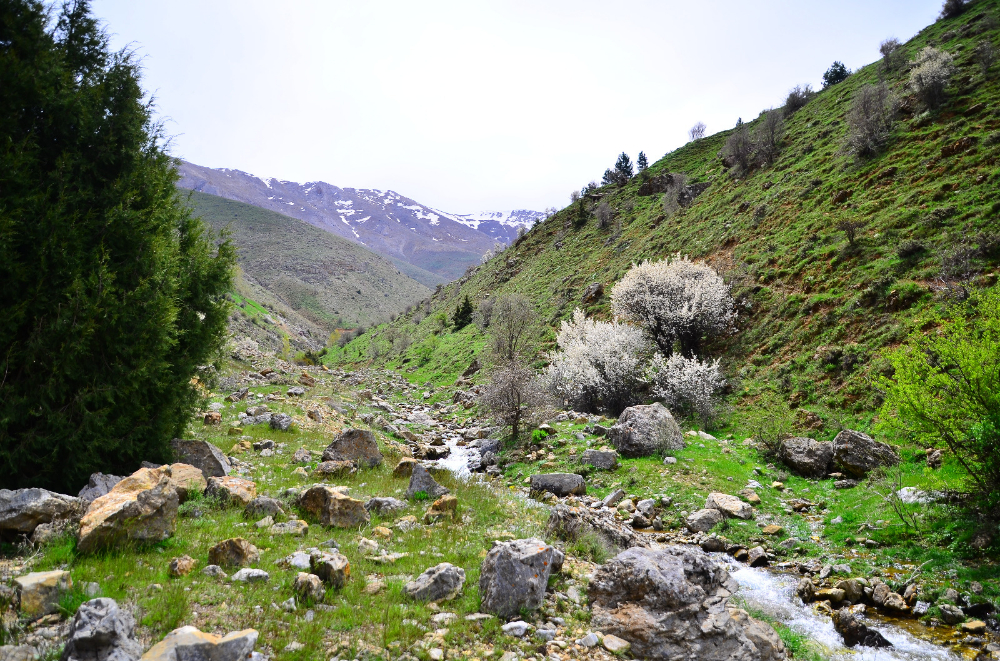 Kuzugölü Vadisi