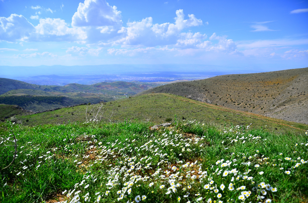 Kuzugölü Vadisi