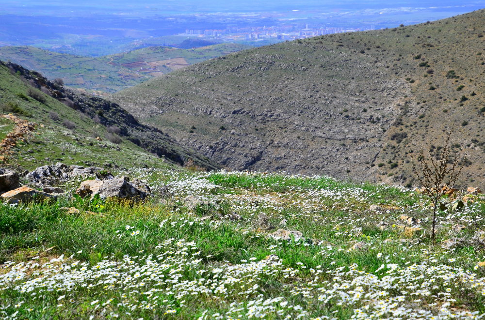 Kuzugölü Vadisi