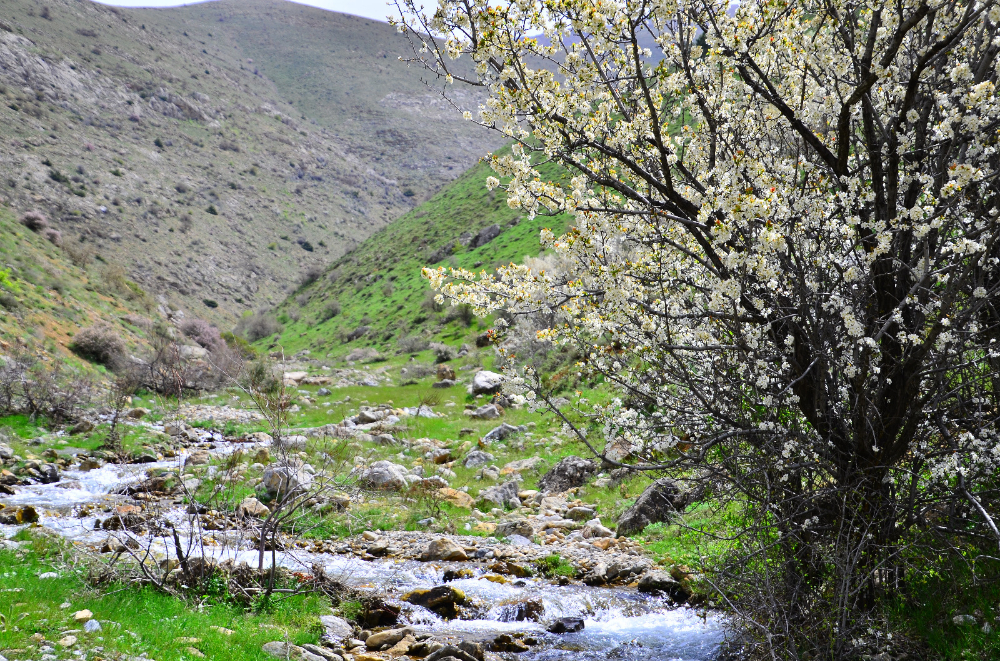 Kuzugölü Vadisi