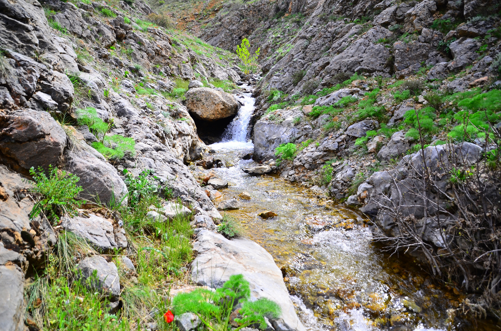 Kuzugölü Vadisi