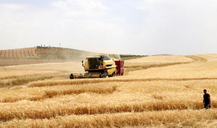 Bu sene rekor bekleniyor! Malatya ve Kahramanmaraş'ta etkili olan yağışlar çiftçiyi umutlandırdı