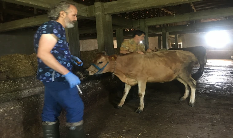 Zonguldak'ta 136 köye karantina! Endişe büyük...