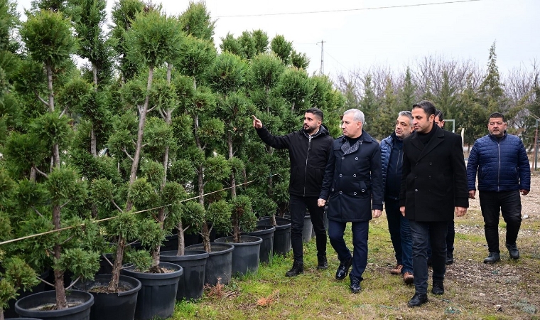 Çınar: “Fidanlarımızı kendi tesislerimizde üreterek bütçede tasarruf sağlıyoruz”