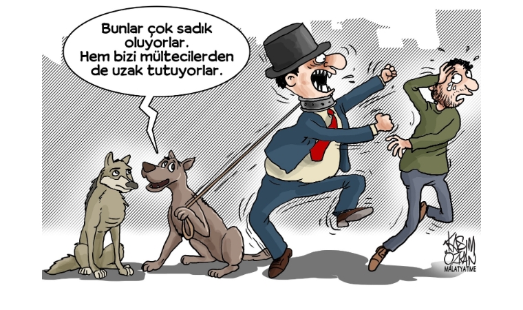 Köpek Sevgisi Ve Vatan Hainliği Arasında: İronik Bir Portre