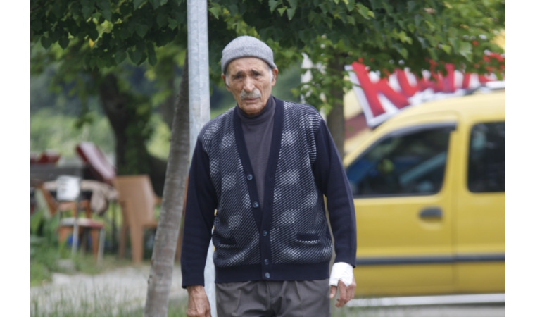 Sevgi BERK / Başıboş Sokak Köpekleri ve Malatya’nın Dramı