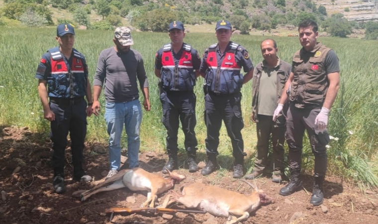 Akçadağ'da Yaban Keçisi Avına Ceza Yağdı