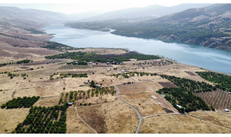 Malatya Pütürge’de Elektrik Tellerinden Çıkan Yangın: Kayısı Bahçeleri Tehlikede!