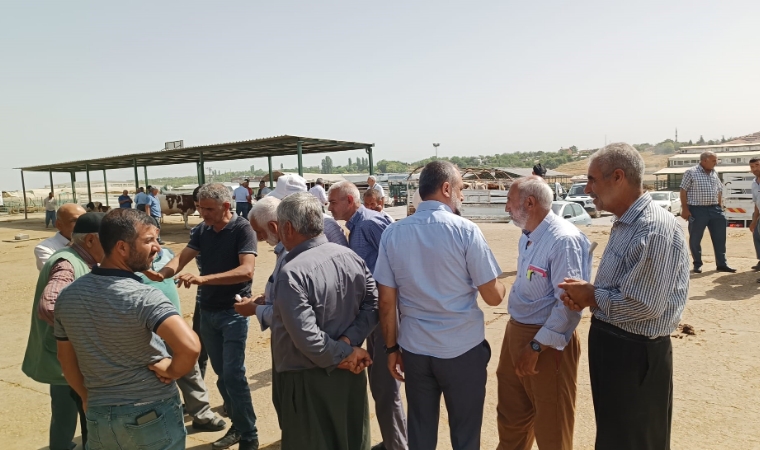 Malatya'da Bayram Telaşı: Kurban Satıcılarının Umudu Arife Günü...