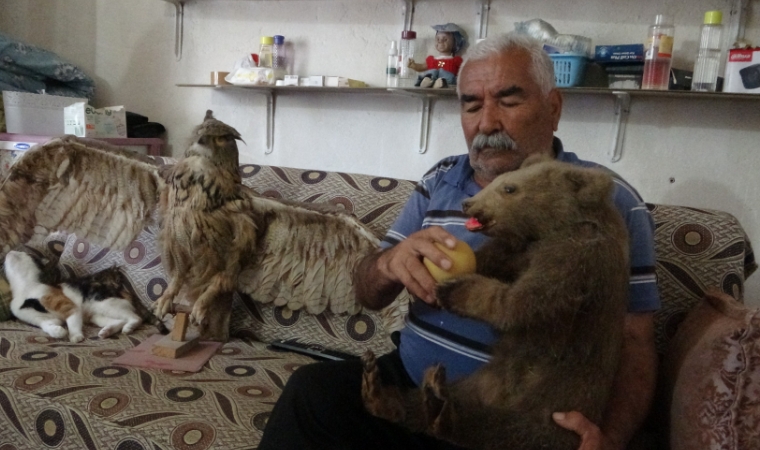 Merakı Koleksiyona Dönüştü: Sıra Dışı Koleksiyon Şaşırtıyor