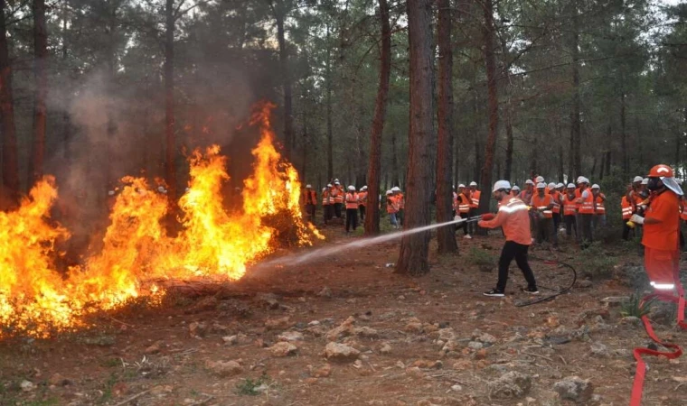 AFAD’dan Sıcaklık ve Yangın Uyarısı: Binlerce Vatandaşa Eş Zamanlı SMS Gönderildi