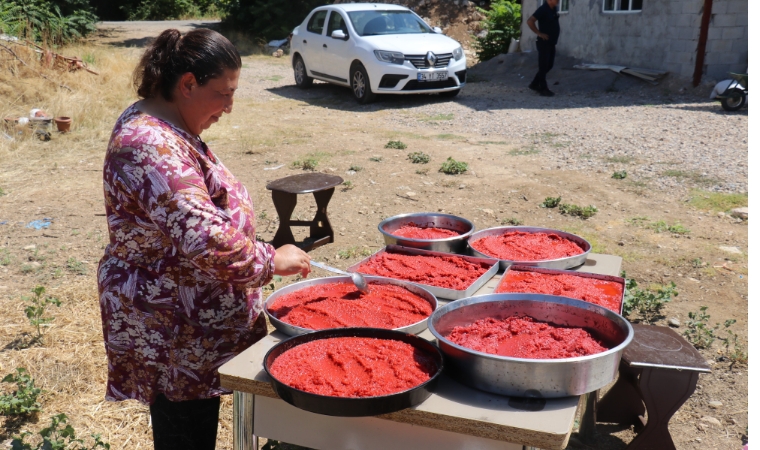 Bahçelerde Kırmızı Bereket: Malatya'da Sıcak Havada Kışa Hazırlık Başladı