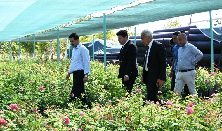 Başkan Taşkın, Doğu Anadolu'nun En Büyük Sera ve Fidanlık Alanını Ziyaret Etti