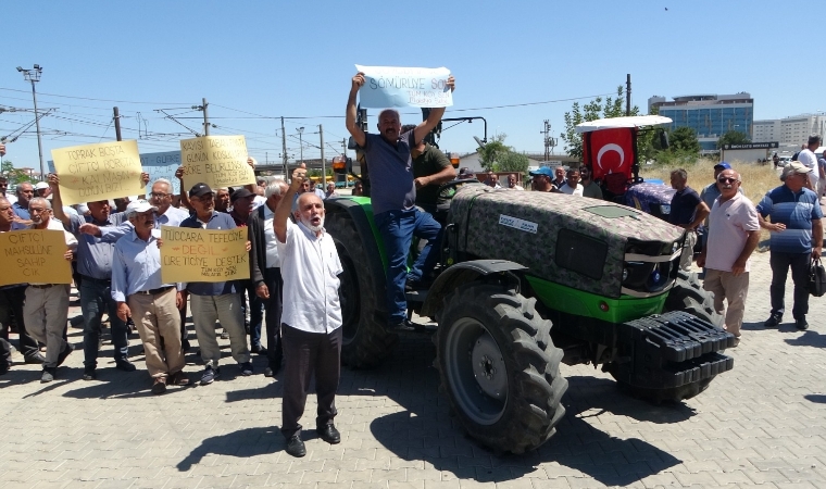 Malatyalı Kayısı Üreticileri Zor Günler Yaşıyor! TMO Alım Yapacak Mı?