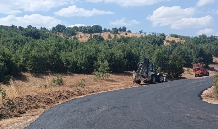 Hekimhan'da Yollar Yenileniyor: Asfaltlama ve Bakım Çalışmaları Tamam!