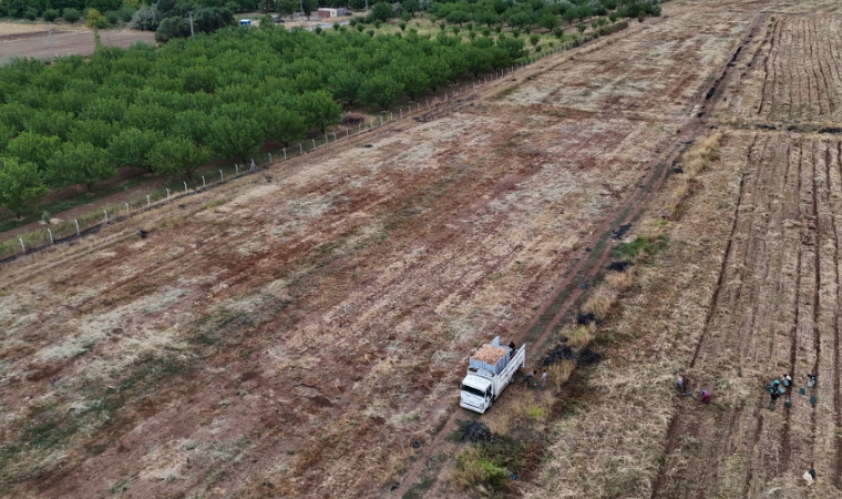 Malatya Tarımda Sınırları Aşıyor: Akçadağ Soğanları Avrupa Yollarında