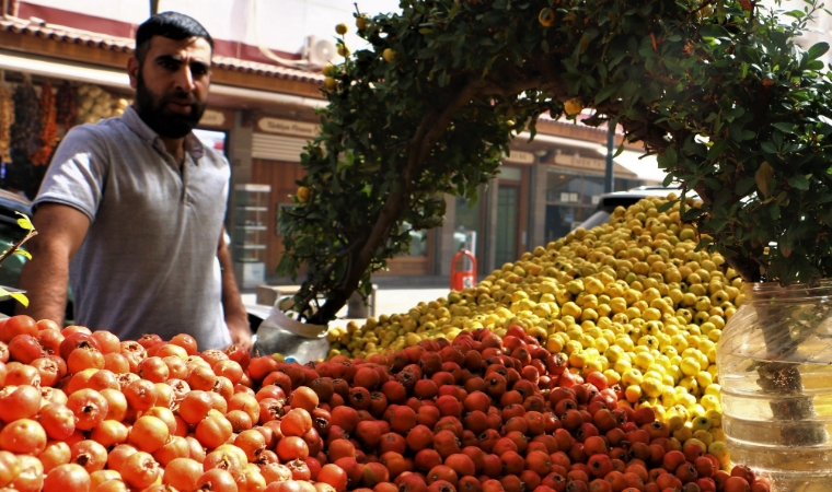 Malatya'da Dağlardan Toplanan Alıç, Kışın Gelişini Müjdeliyor