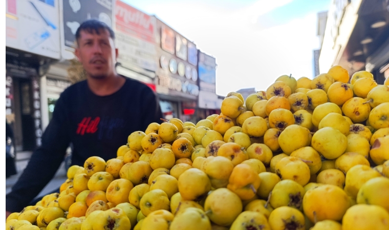 Malatya'dan Giden Alıç Meyvesi Van'da Tezgahlarda