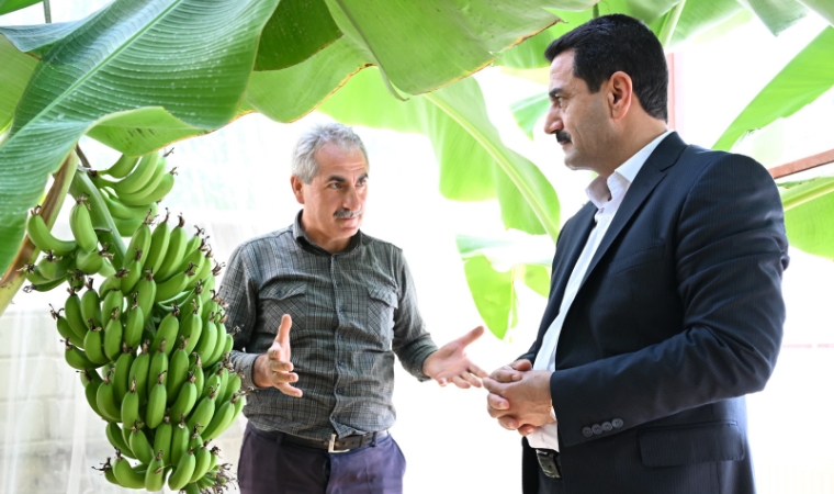 Muz Üretiminde Yeni Bir Dönem: Başkan Taşkın'dan Kadıçayırı'na Ziyaret!