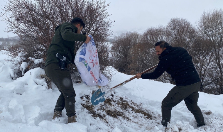 Malatya'da Karla Kaplanan Doğada Yaban Hayvanları İçin Hayati Yardım!