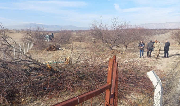 Malatya’da Yeni Trend: Hayalet Dilekçeler!