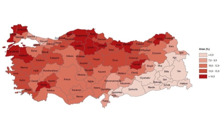 Türkiye Nüfusunda Yaşlı Nüfus Rekoru! 2024'te Yeni Dönem Başladı