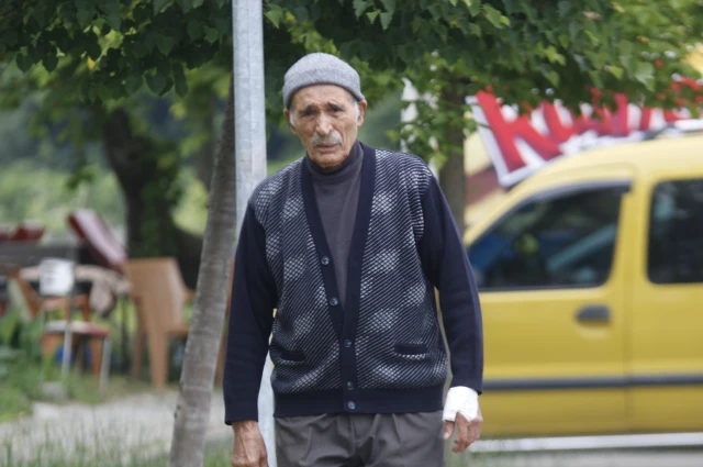 Başıboş Sokak Köpekleri ve Malatya’nın Dramı