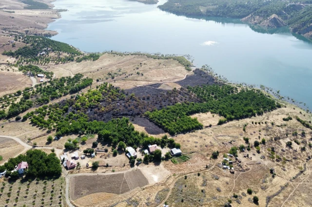 Elektrik Tellerinden Çıkan Yangın: Kayısı Bahçeleri Tehlikede