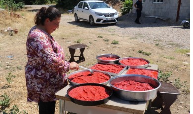 Bahçelerde Kırmızı Bereket: Malatya'da Sıcak Havada Kışa Hazırlık Başladı