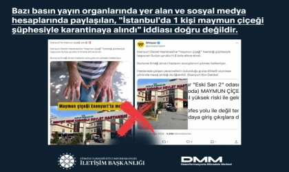 Türkiye'de Maymun Çiçeği Virüsü Var mı?