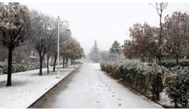 Puslu Sabahlar, Dondurucu Geceler: Malatya’da Hava Durumu Alarmı!